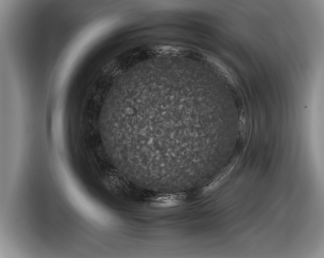 X0000116560381200912171414