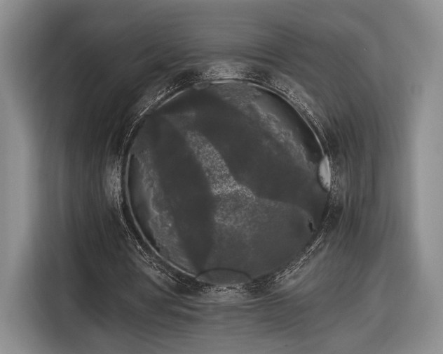 X0000116560386200912171414