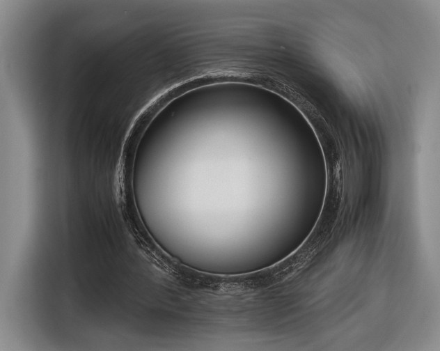 X0000116560388200912171414