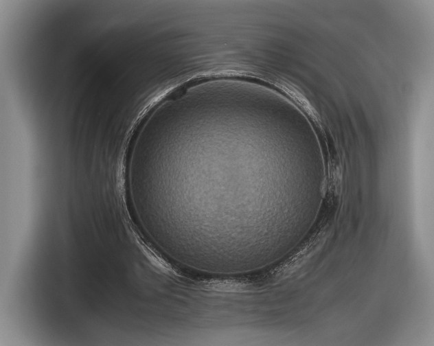 X0000116560389200912171414