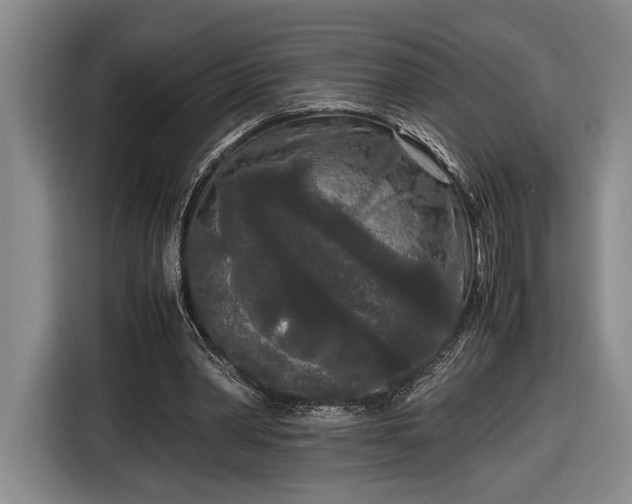 X0000116560390200912171414