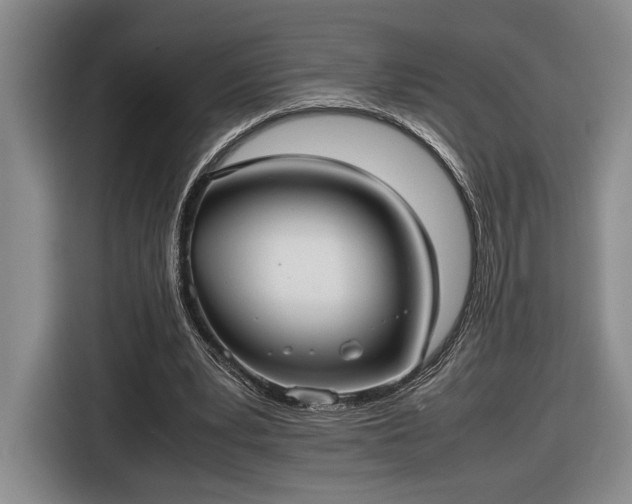 X0000116560391200912171414