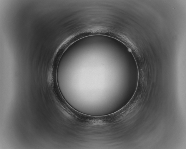 X0000116560392200912171414