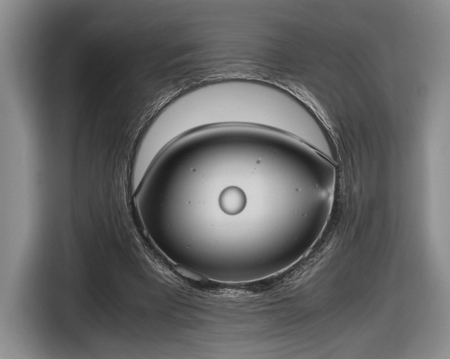 X0000116560393200912171414