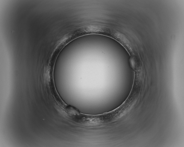 X0000116560395200912171414