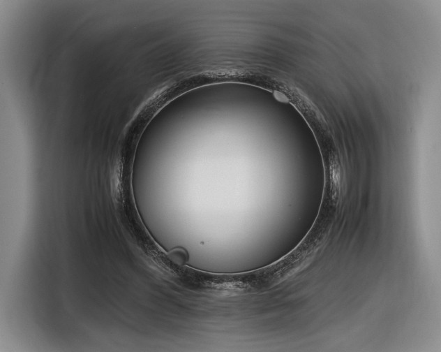 X0000116560396200912171414