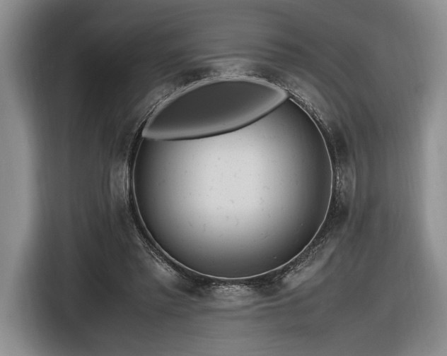 X0000116560397200912171414