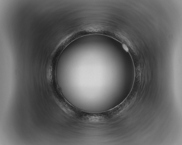 X0000116560400200912171414