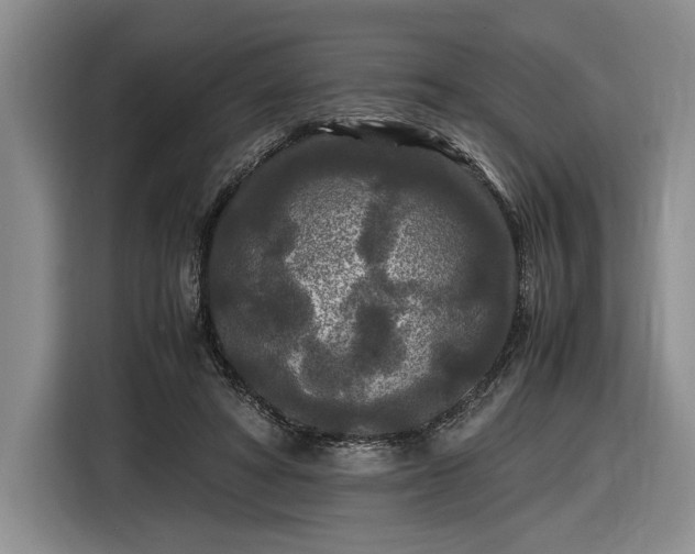 X0000116560402200912171414