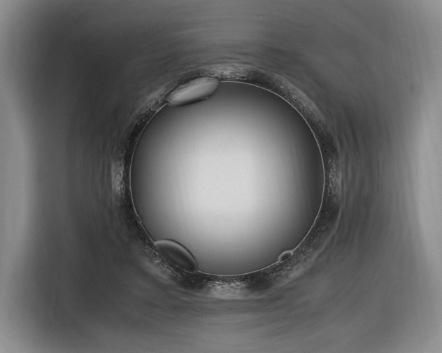 X0000116560403200912171414