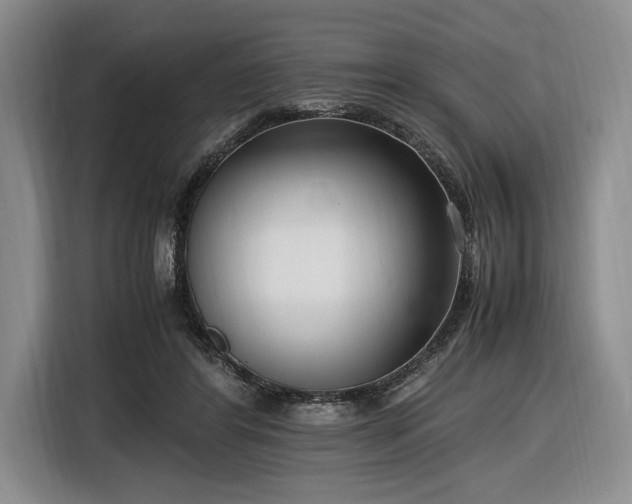 X0000116560404200912171414