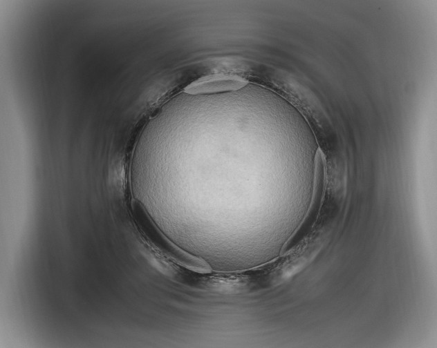 X0000116560405200912171414