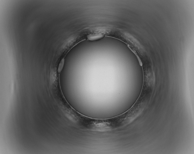 X0000116560407200912171413