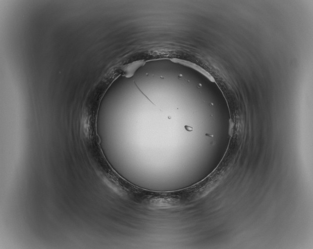 X0000116560408200912171413