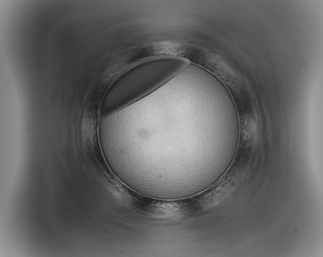 X0000116560409200912171413