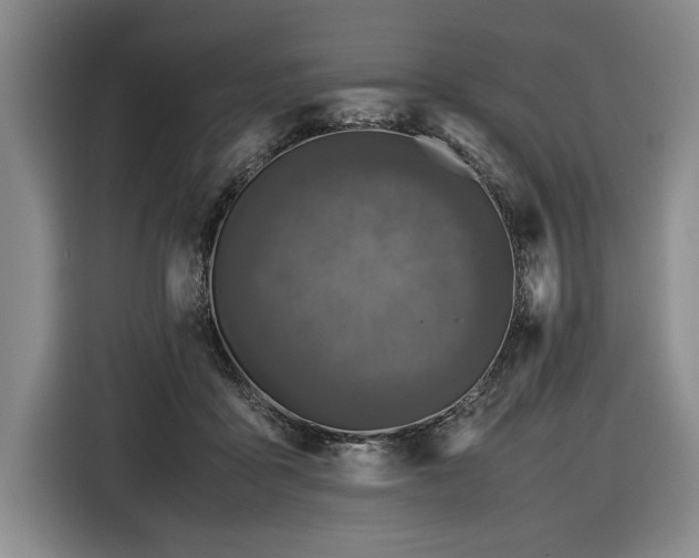 X0000116560411200912171413