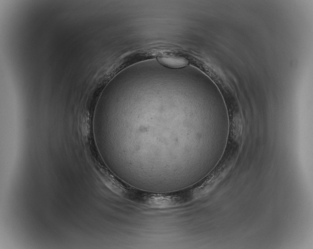 X0000116560413200912171413