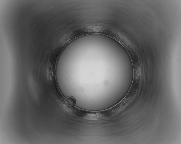 X0000116560414200912171413