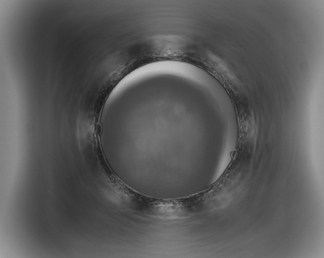 X0000116560415200912171413