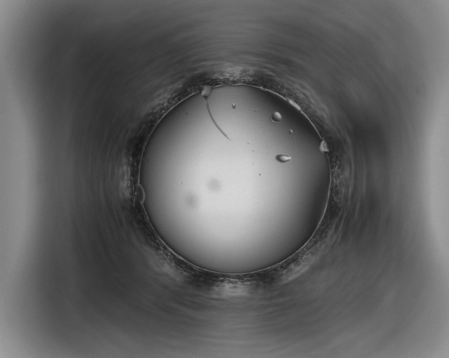 X0000116560416200912171413