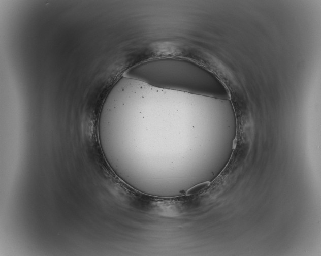 X0000116560417200912171413