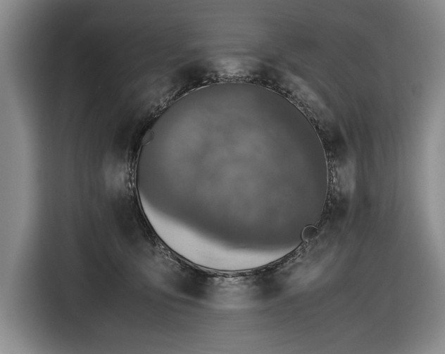 X0000116560419200912171413