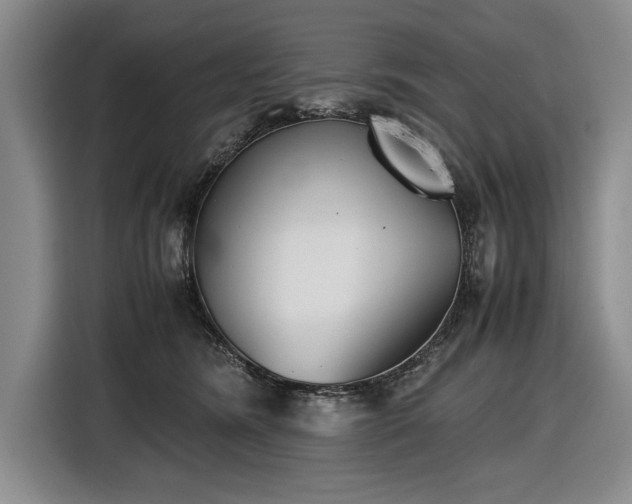 X0000116560420200912171413