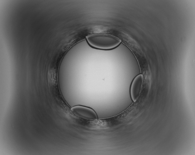 X0000116560421200912171413