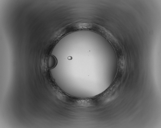 X0000116560422200912171413