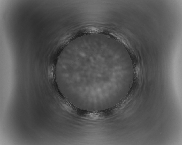 X0000116560423200912171413