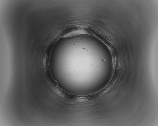 X0000116560424200912171413