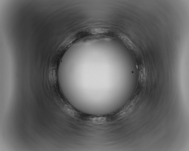 X0000116560426200912171413