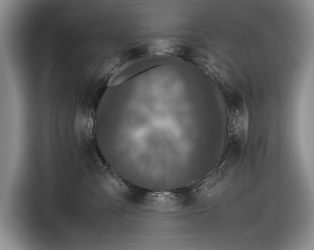 X0000116560427200912171413