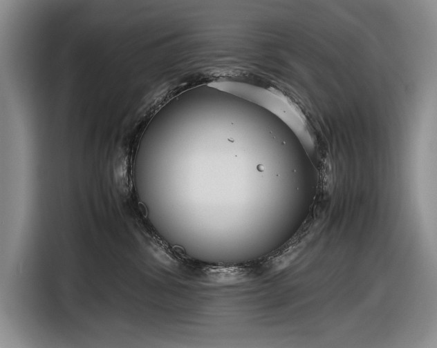 X0000116560428200912171413