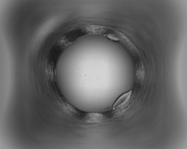 X0000116560429200912171413