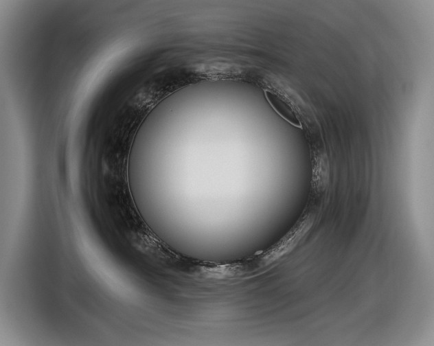 X0000116560430200912171413