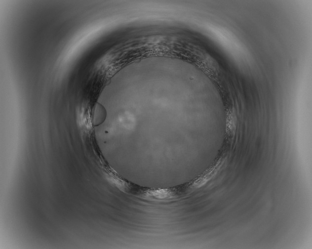 X0000116560431200912171413