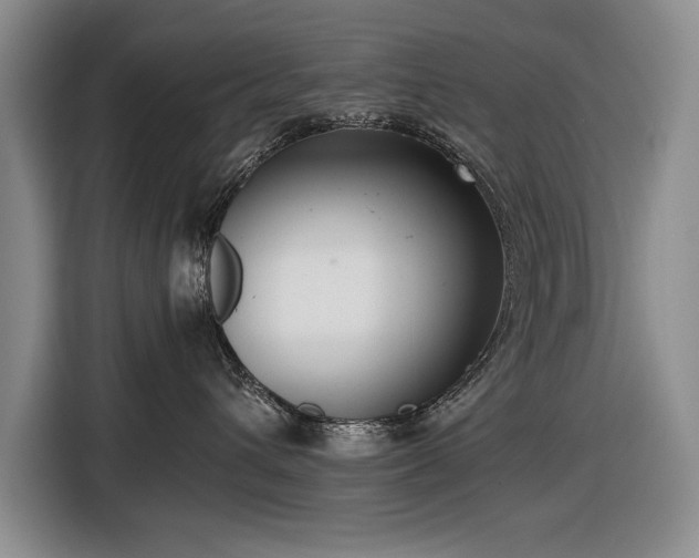 X0000116560432200912171413