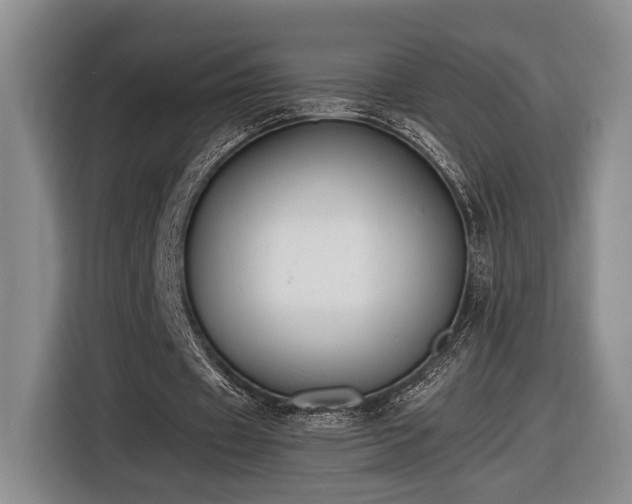 X0000116560433200912171413