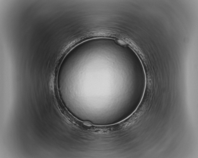 X0000116560434200912171413