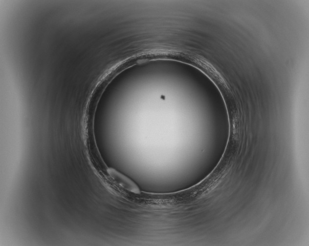 X0000116560436200912171413