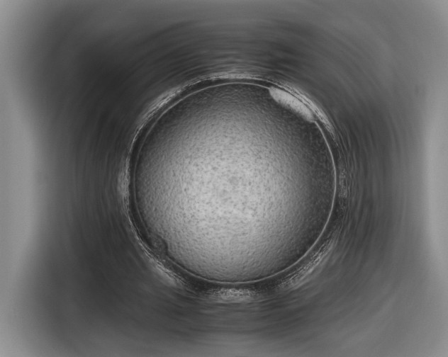 X0000116560437200912171413