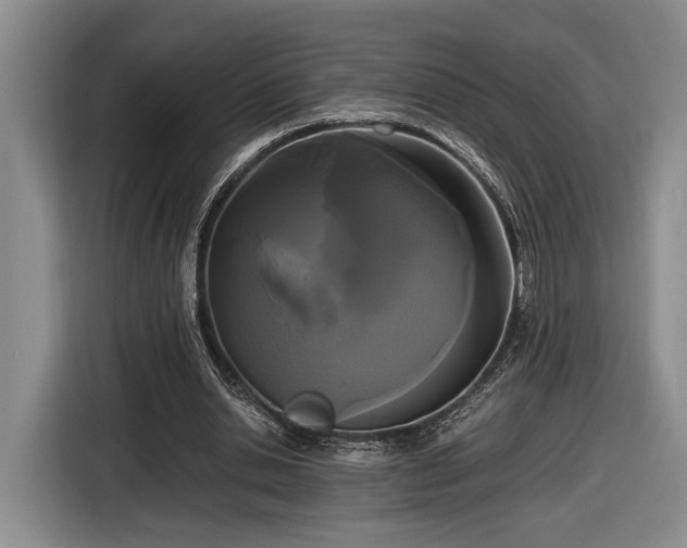 X0000116560438200912171413