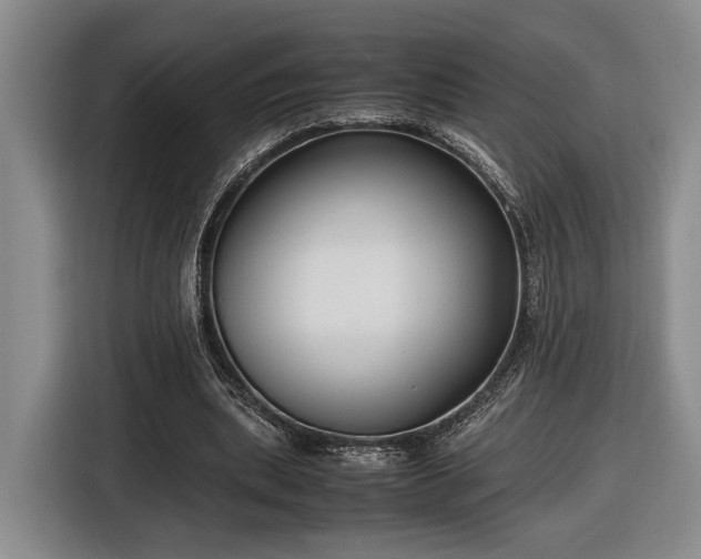 X0000116560439200912171413