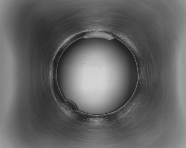 X0000116560440200912171413