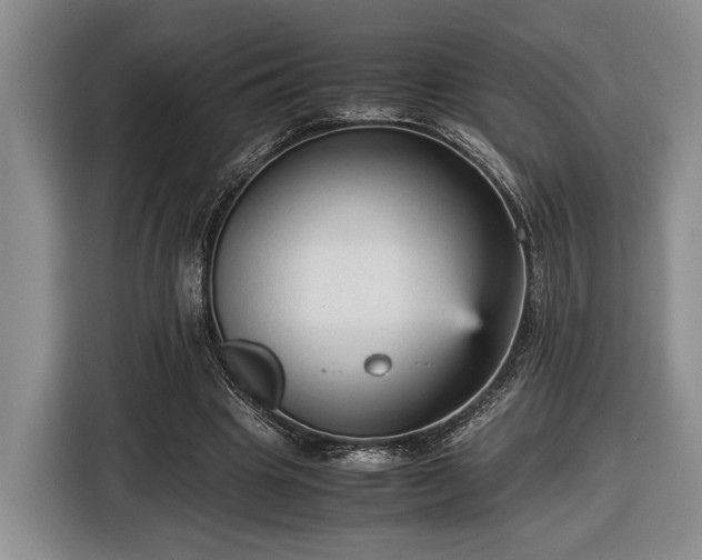 X0000116560441200912171413