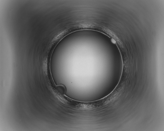 X0000116560442200912171413