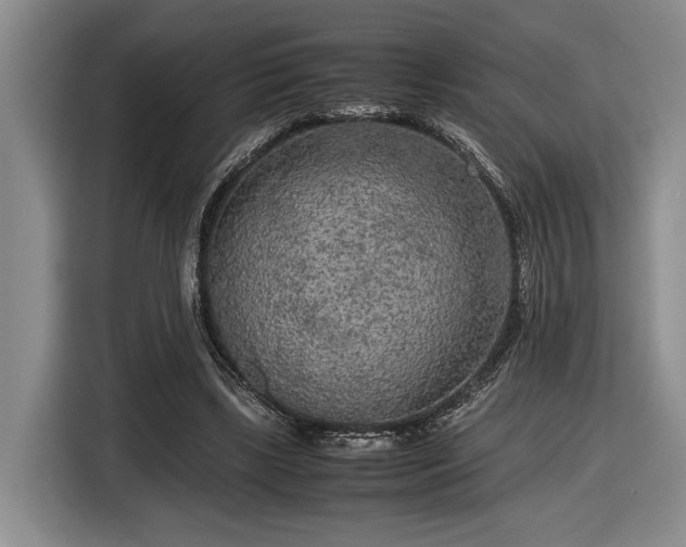 X0000116560443200912171413