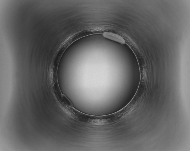 X0000116560444200912171413