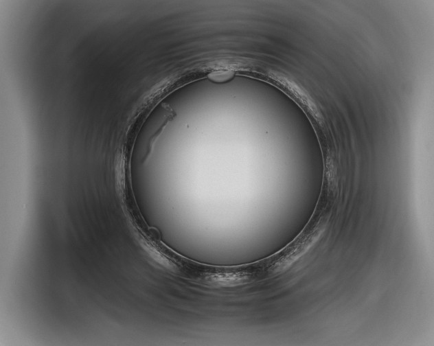 X0000116560445200912171413